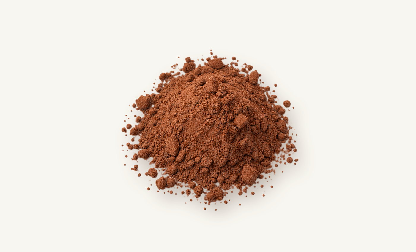 Cocoa powder sample without bowl